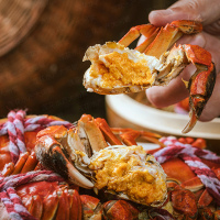 姑苏渔歌皇家精品2298型大闸蟹盒装