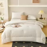 悠梦嘉居 华夫格大豆蛋白被 银白华夫格提花面料 采用立体包边 180*220cm YB-14242