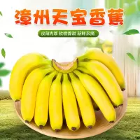 [西沛生鲜]福建天宝香蕉 净重5斤 箱装 新鲜当季水果 香甜软糯 孕妇宝宝辅食