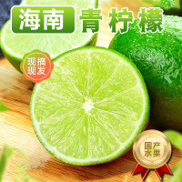 [西沛生鲜]海南香水青柠檬 净重8.5斤 新鲜应当季水果香水黄鲜柠檬奶茶店专用 坏果包赔