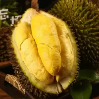 [西沛生鲜]液氮马来西亚猫山王榴莲 进口榴莲 A果 4-4.5斤 软糯香甜 新鲜水果