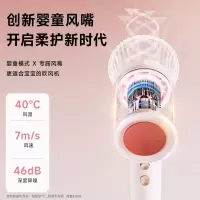 奔腾(POVOS)电吹风