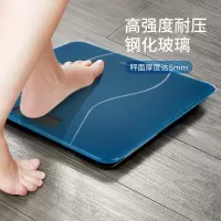 西屋/Westinghouse 体重秤T101