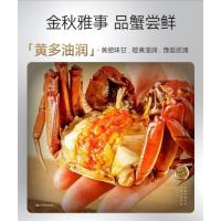 蟹状元598型 (雄蟹3.2两/4只+雌蟹2.2两/4只)非质量问题不支持退货