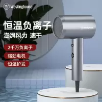 西屋/Westinghouse 负离子电吹风机H107
