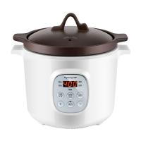 九阳电炖锅DGD2066AM LY