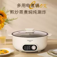 创维/SKYWORTH 7L大容量双重温控保护 多用途锅电煮锅F222