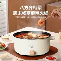 创维/SKYWORTH 4L 旋转调节 多功能家用电火锅 F227