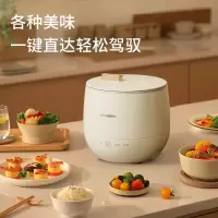 创维/SKYWORTH 1.6L 迷你1-2人食触控式 智能电饭煲 F77