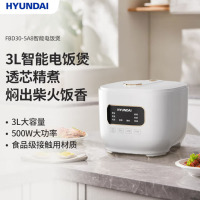 HYUNDAI智能电饭煲FBD30-5A8