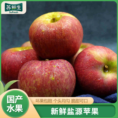 [苏鲜生]四川凉山盐源丑苹果 净重5斤 特大果 12个左右 箱装 当季 新鲜水果