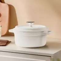 BLAUPUNKT蓝宝 珐琅锅炖锅家用汤锅焖煮不粘搪瓷双耳锅 BP-FLG01 白色