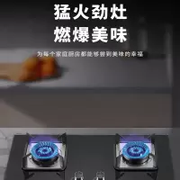 创维/SKYWORTH 一级能效家用燃气灶具 JZT-Z202B