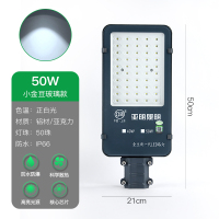 亚明银豆led路灯头金豆玻璃款路灯50W白光6500K 1个