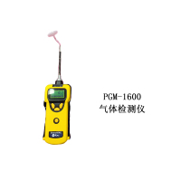 华瑞 手持式燃气浓度检测仪Serch RAE PGM-1600(燃气探头 泵吸式)只检测可燃气体(单位:台) 货期21天