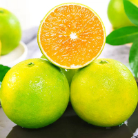 [西沛生鲜]正宗云南青皮冰糖橙 净重5斤 中果 单果65mm左右 新鲜应季水果现摘皮薄多汁清甜