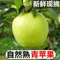 [西沛生鲜]云南新鲜青苹果 净重9斤 中果 单果65-70mm 脆甜可口