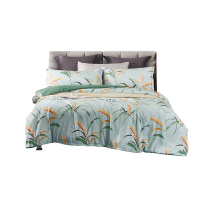 艾逸瑶选 JF-24118 韦伯亲肤磨毛四件套