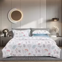 梦洁家纺超柔亲肤四件套纯棉磨毛冬被春秋被芯床品套装大码舒适温暖抗菌防螨设计