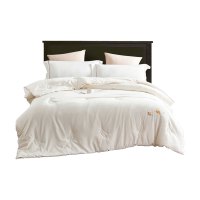 艾逸瑶选 芬尼娅大豆纤维冬被 200*230cm JF-24137