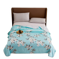 艾逸瑶选 圣安娜夏被200*230cm JF-24108