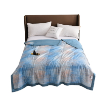 艾逸瑶选 塞伦夏被200x230cm JF-24109