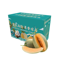 礼盒装[熊猫鸟]新鲜哈密瓜 净重4.5斤 1-3个 应季水果 新鲜甜瓜 鲜果