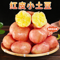 [西沛生鲜]云南红皮小土豆 净重9斤装 中果 单果60-100g 新鲜蔬菜 农家种植