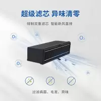 PILTON 宠物智能舱滤芯