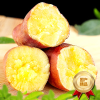 [西沛生鲜]海南桥头富硒地瓜 中果 净重4.5斤 单个100-150g 新鲜沙地红薯山芋板栗番薯蔬菜