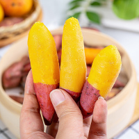 礼盒装[西沛生鲜]海南金手指地瓜 净重7.5斤 单个30-70g 新鲜沙地红薯山芋板栗番薯蔬菜