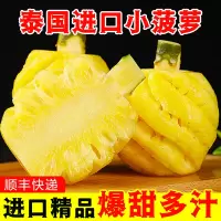 顺丰快递[西沛生鲜]泰国迷你小菠萝 酸甜多汁 净重5斤装 去皮小凤梨 凤梨 削皮菠萝 超甜