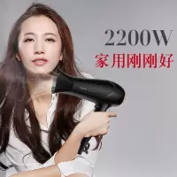 雷瓦(RIWA)雷瓦电吹风大功率家用 RC-7162 黑色