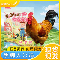 雀淘 皖南草公鸡3.5-4斤/只 1只装 农家慢养走地鸡新鲜现杀整只