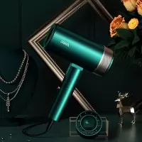 雷瓦(RIWA) RC-7800 电吹风机恒温速干 负离子电吹风