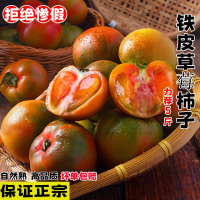 [西沛生鲜]丹东铁皮西红柿 净重3斤 精品 草莓柿子绿腚番茄自然熟生吃应季新鲜水果