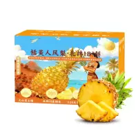 [苏鲜生]海南金钻凤梨 净重2.5斤 1个 大果 当季新鲜水果 酸甜多汁 产地精选