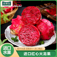 [苏鲜生]越南红心火龙果 净重2.8斤 单果500g左右 箱装 热带水果 当季新鲜水果
