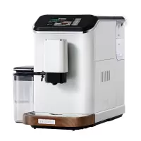 柏翠 PE3101 白色