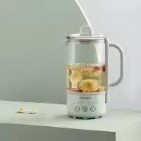 北鼎K31F 养生壶 浅杉绿