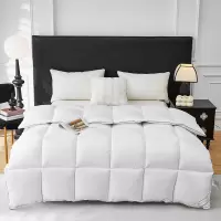 彼加曼 BGM-B2557冰岛纳米锁暖羽丝绒被200*230cm