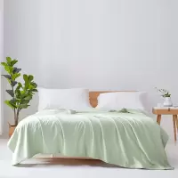 梦洁家纺tg抗菌可水洗纯蚕丝夏凉被单人空调夏被 挽风清竹(绿) 180*200