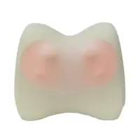 西屋(WESTINGHOUSE) 腰部按摩仪 BX15