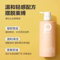 柏缇pote 山姜健发洗发露 强韧发根蓬松控油无硅油洗发水650ml