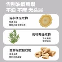 柏缇pote 茶树去屑洗发露 止痒控油蓬松氨基酸洗发水650ml