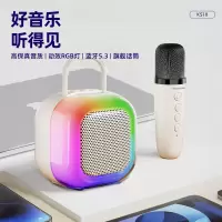 纽曼 KS10 K歌蓝牙音响