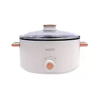 华帝4L多功能电火锅 VZG049C