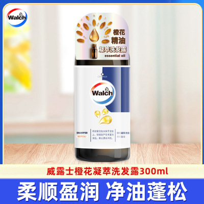 威露士300ml威露士凝萃洗发露润养洗发水柔顺改善毛躁男士女士洗头膏 300ml-橙花