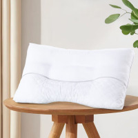 水星家纺闲逸决明子抗菌枕48cm×74cm