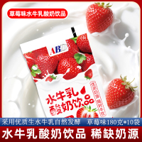 ABD水牛奶酸奶草莓味180g*10袋网红儿童学生饮料早餐奶